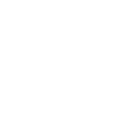 RAMA 20 Anos